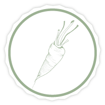 Illustration Karotte